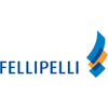Fellipelli - Instrumento de Diagnóstico e Desenvolvimento Organizacional